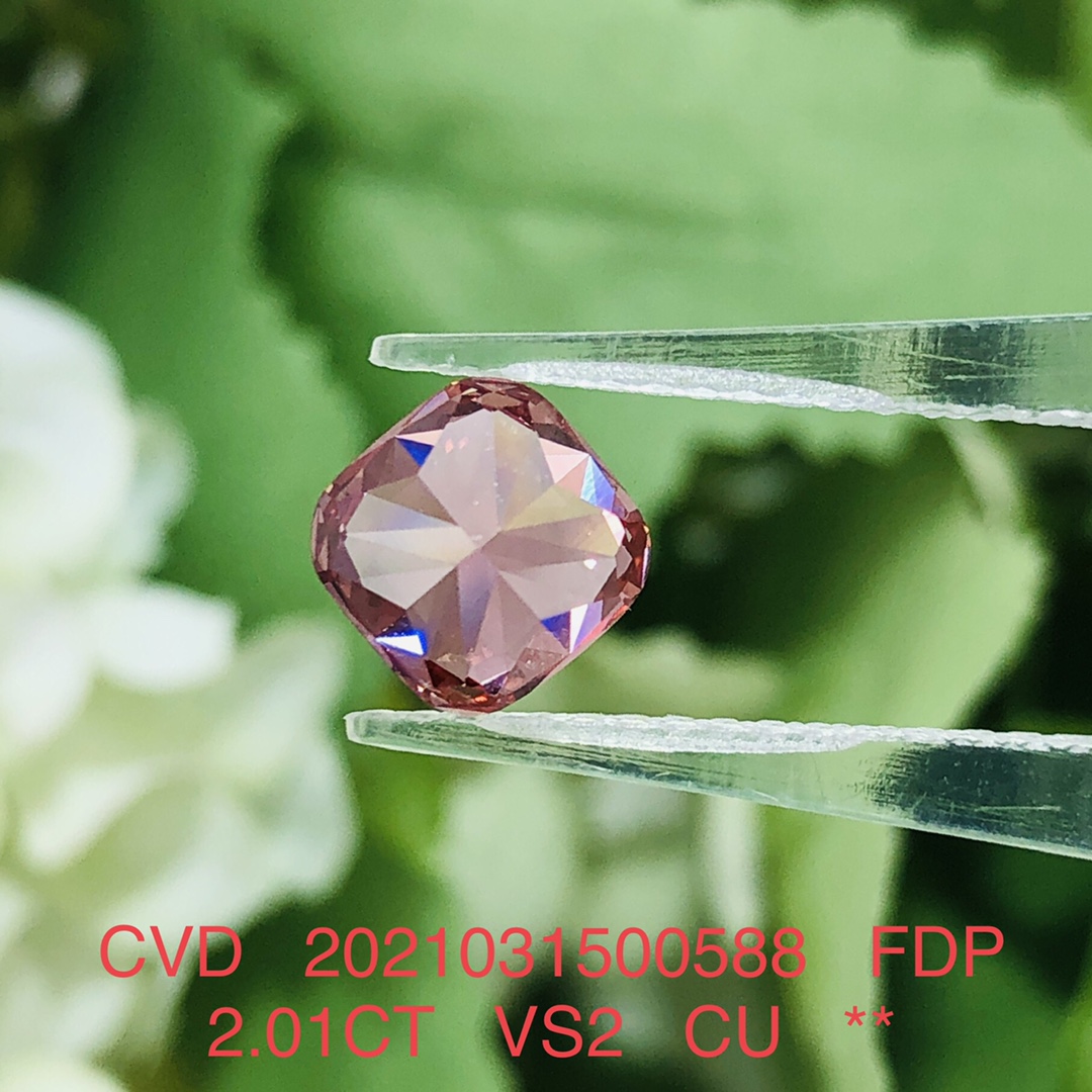 Lab Grown Cushion Cut Diamond