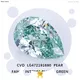 green lab diamond at Wholesale Prices | Messi Jewelry 1