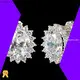 Long Lasting moissanite stud earrings screw back high safety | Messi Jewelry 1