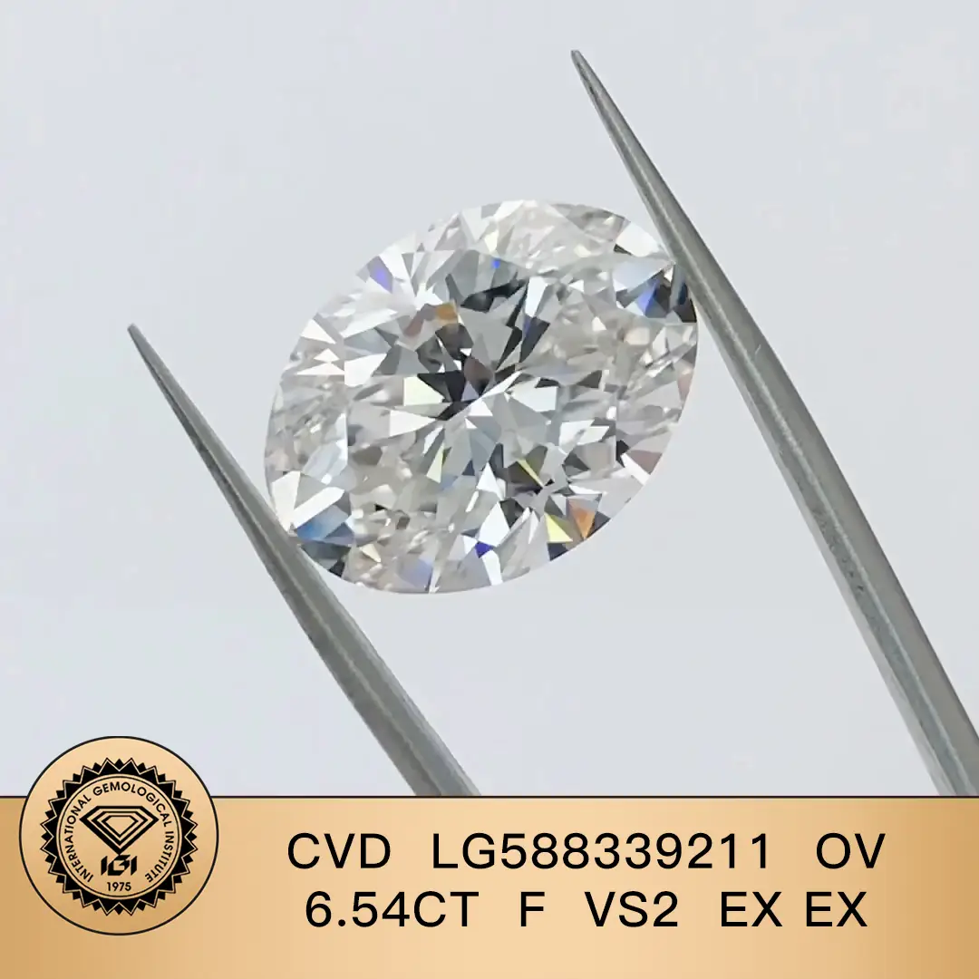 IGI LAB DIAMOND OVAL 6.54CT F VS2 EX EX CVD LG588339211 용 보석 | 메시 보석 1