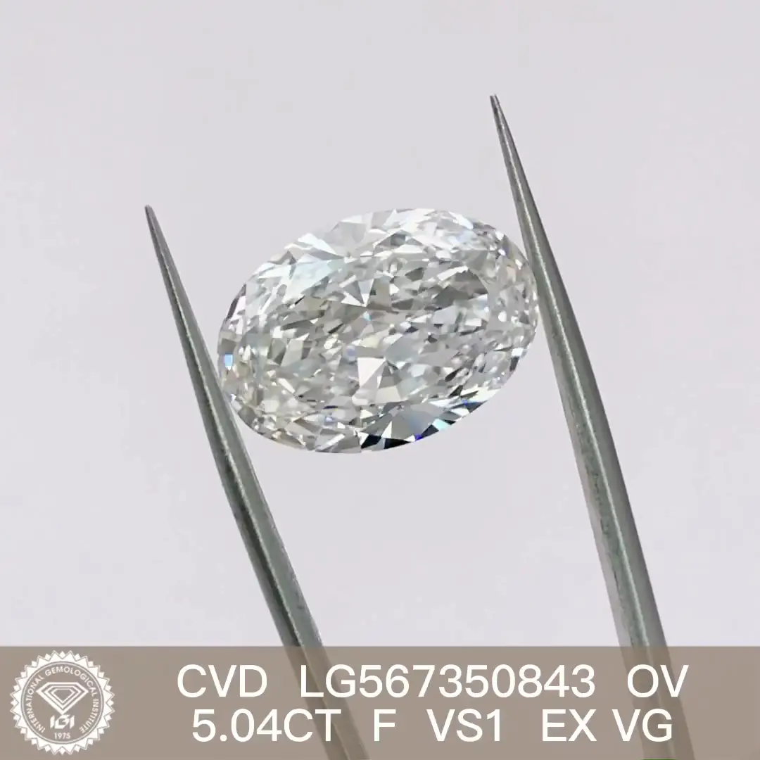 IGI Certified Oval Lab Diamond, Sizes from 0.3 to 20 Carats 4