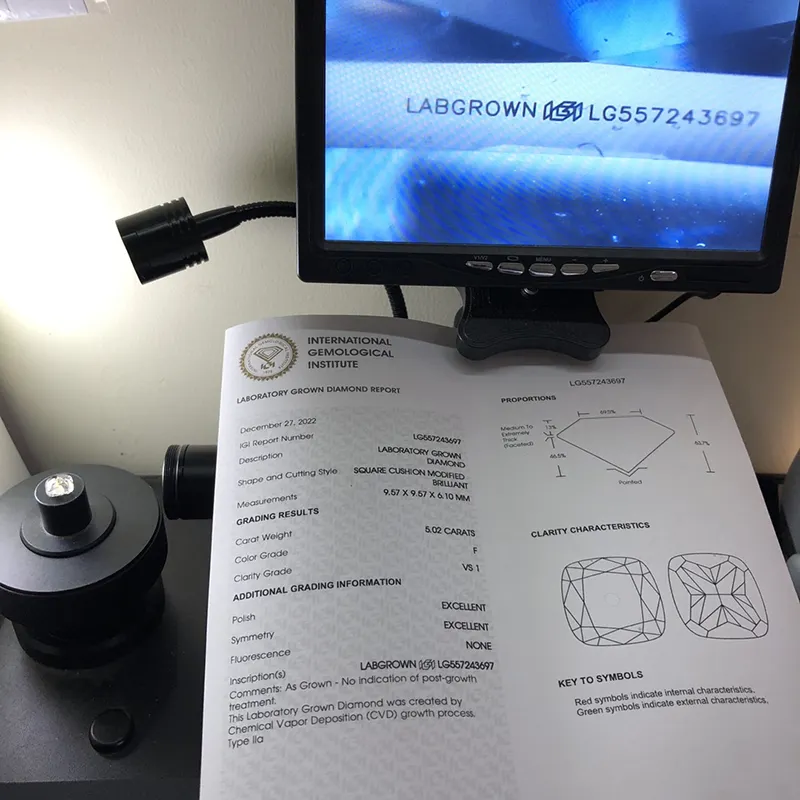 Cushion Lab Diamond Gia Lab Grown Diamonds for Necklace Highly Rated 2