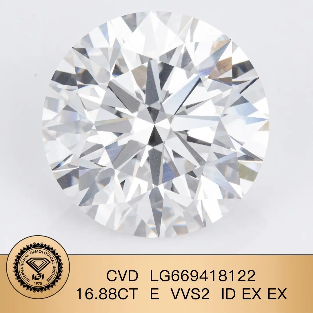 Gioielli Messi di grandi dimensioni Round 16,88Ct E VVS2 ID EX EX LAB Diamond IGI LG669418122 1