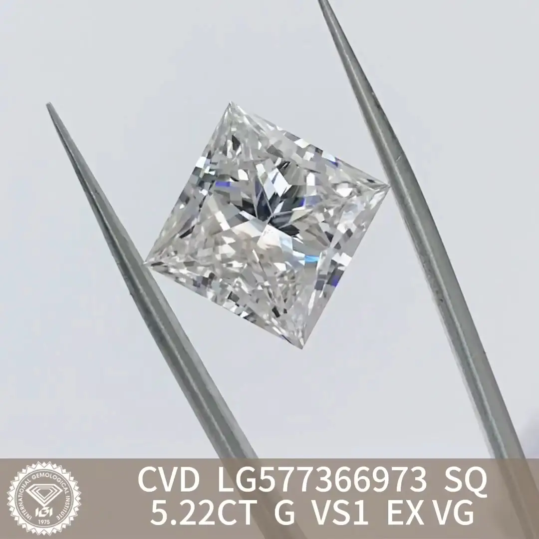 IGI Certified Princess Cut Lab Diamond - Customizable Sizes 5