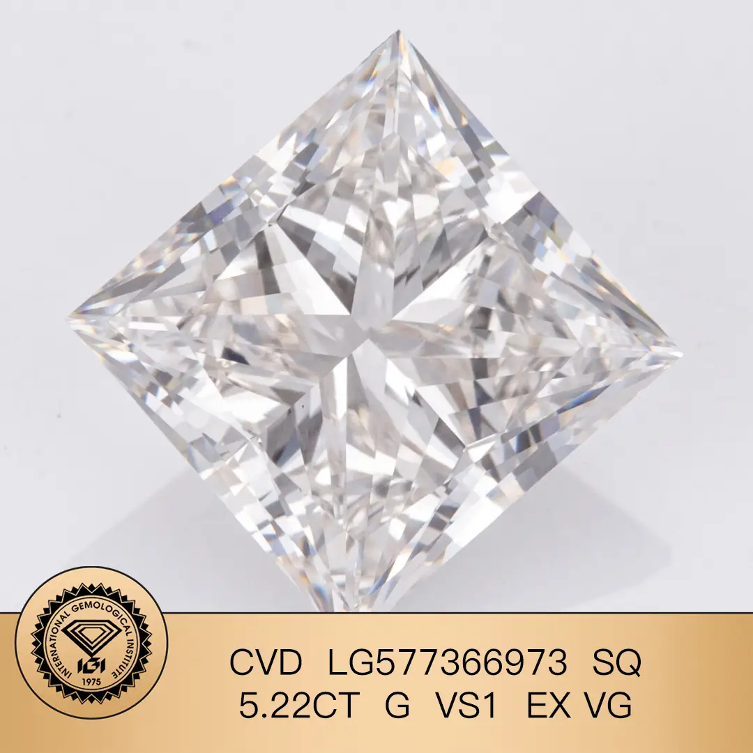 IGI Certified Princess Cut Lab Diamond - Customizable Sizes 7