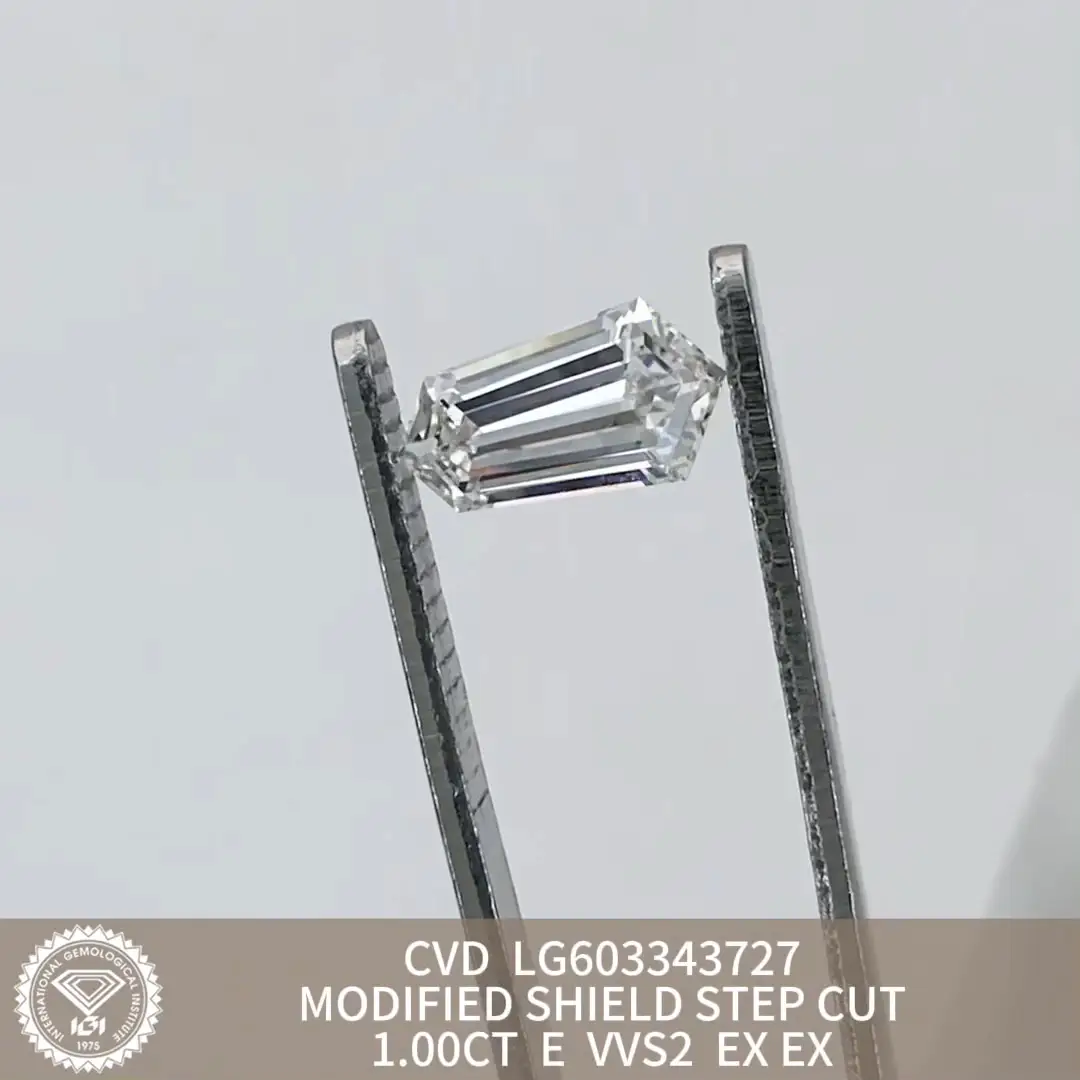 Lab Cut Diamonds: 0.3 to 20 ct, Customized Options Available 2