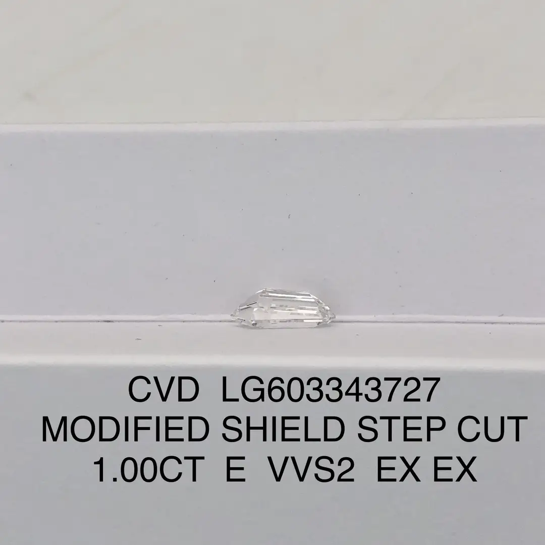 Lab Cut Diamonds: 0.3 to 20 ct, Customized Options Available 3