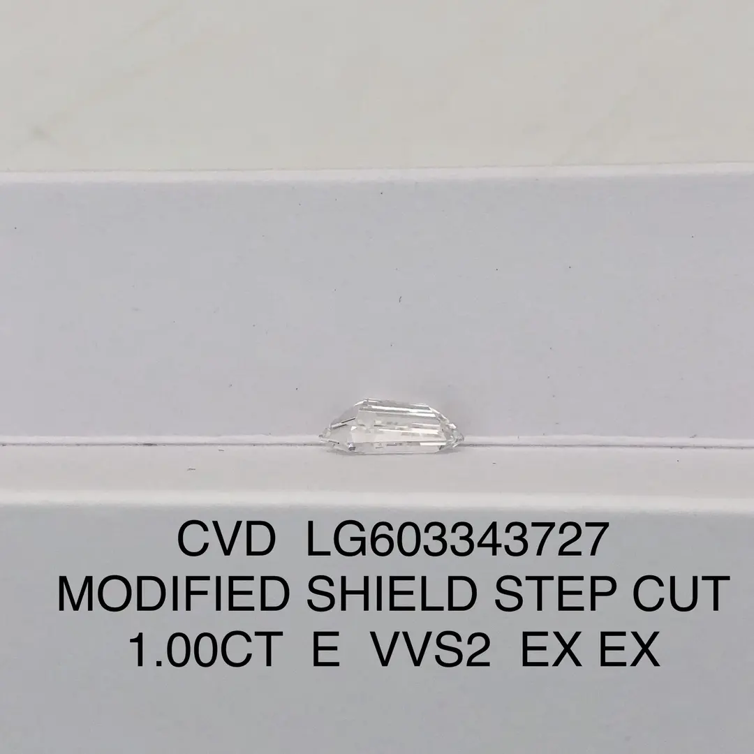 Lab Cut Diamonds: 0.3 to 20 ct, Customized Options Available 3