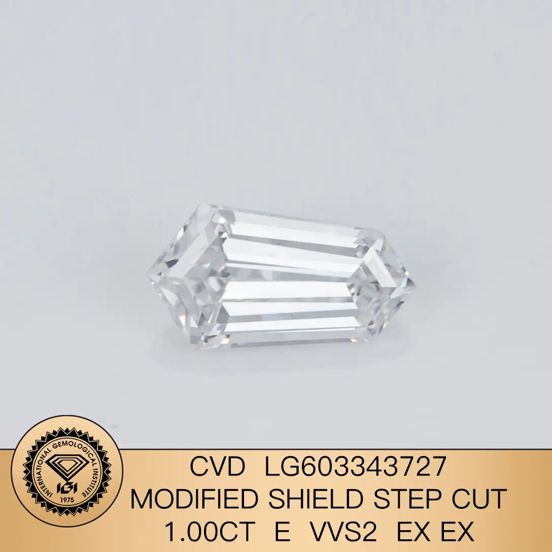 Lab Cut Diamonds: 0.3 to 20 ct, Customized Options Available 7