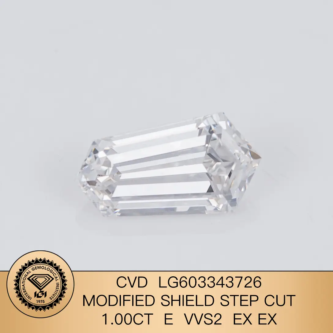 SCHEDA SCHIED MODIFICATO Cut 1CT E VVS2 CVD Diamond Lab Certificato IGI Diamond IGI1 1
