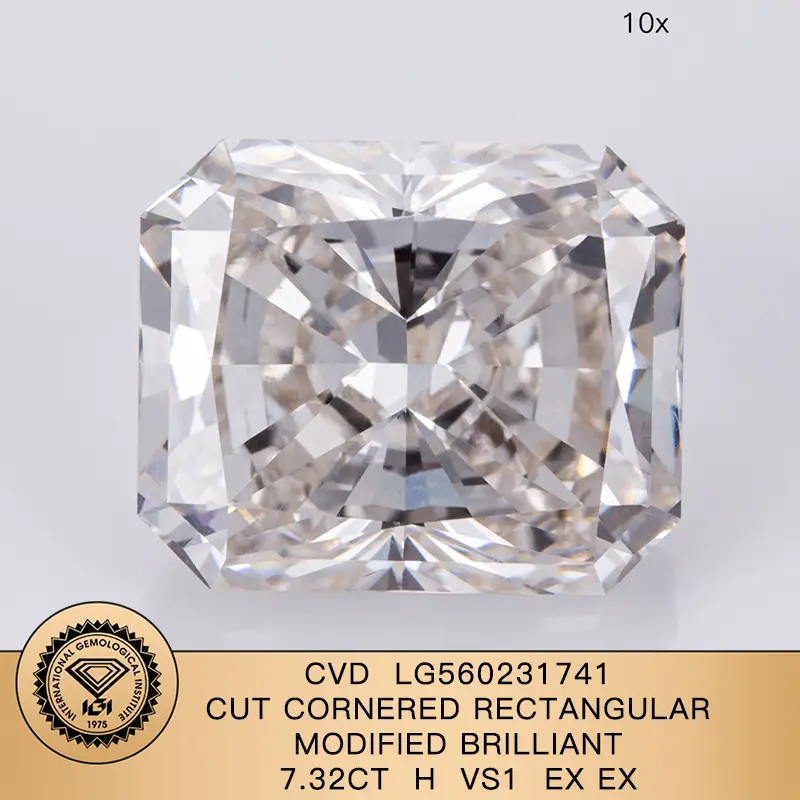 Personalizza il taglio del cuscino 7.32Carat H vs1 Ex Ex Lab Diamond con certificato IGI LG560231741 1