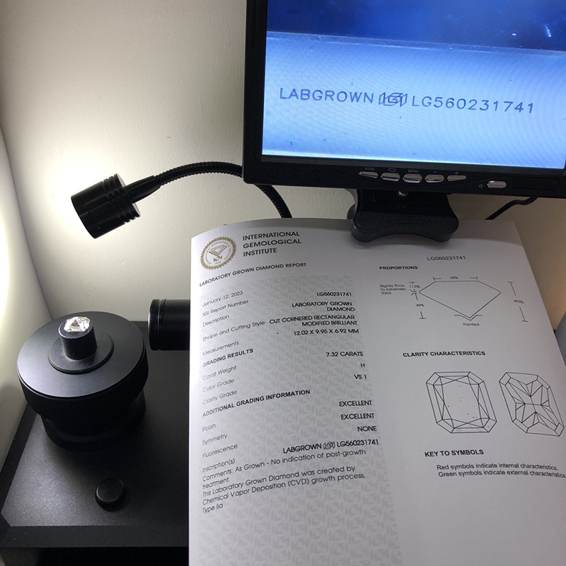Ipasibo ang Cushion cut 7.32carat H VS1 EX EX Lab Diamond nga adunay IGI certificate LG560231741 13
