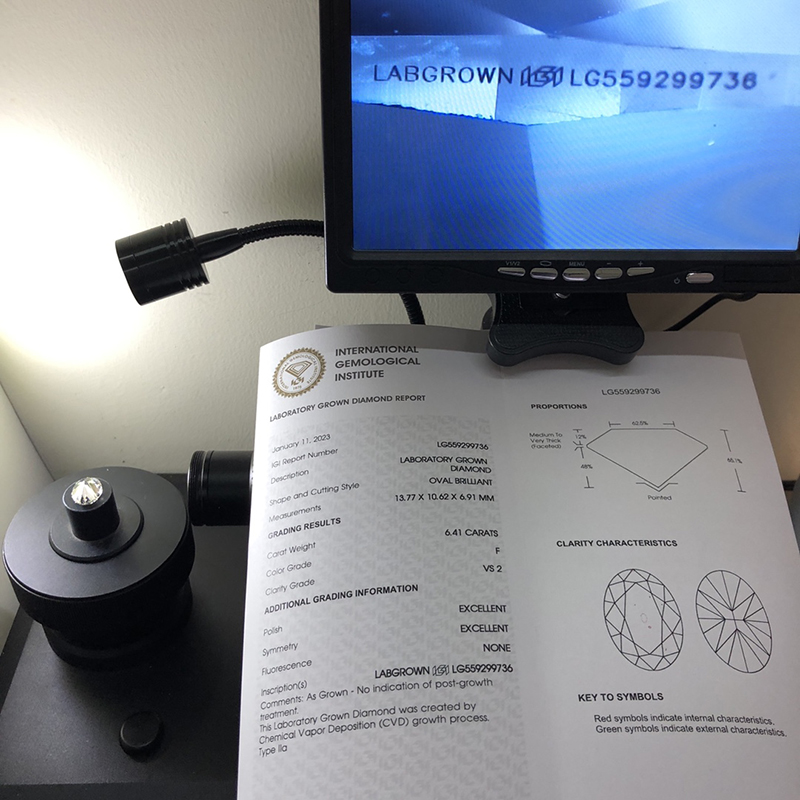 Lab Grown Diamond IGI CVD LG559299736 0V 6.41CT F VS2 EX EX 12