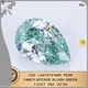 Green Lab Diamonds 0.3-10 ct, IGI Certified - Contact for Daily Updates 1