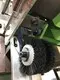 Latest automatic zipper cutting machine factory for zipper manufacturer 3