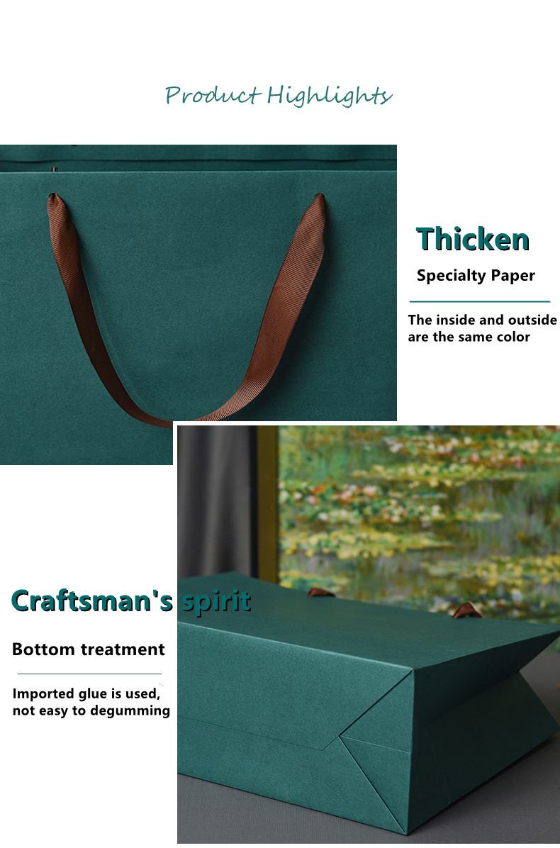 Aangepaste luxe papieren tas met handgreeptas boodschappentas voor kledingschoenen 3