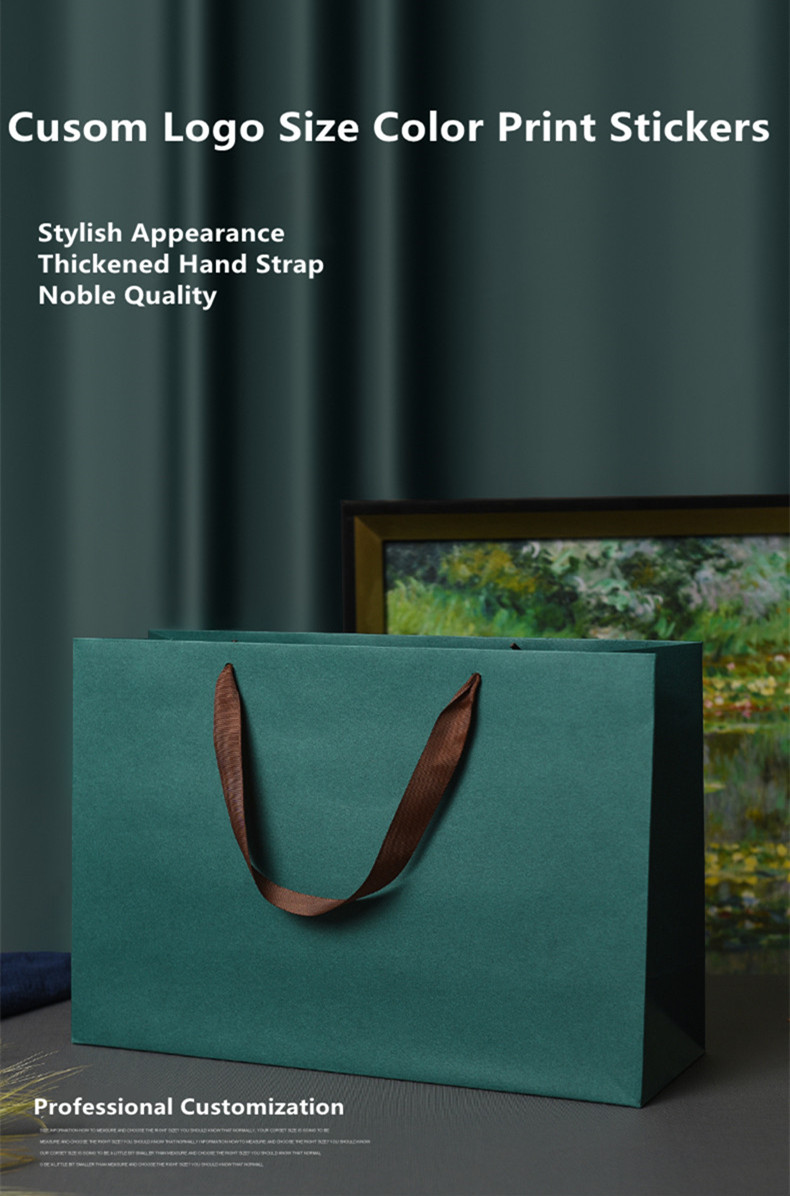 Aangepaste luxe papieren tas met handgreeptas boodschappentas voor kledingschoenen 2