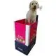 Top cardboard end cap displays for business | Ilove Packaging 2