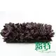 ctenanthe at Wholesale Prices | Youngplants 5