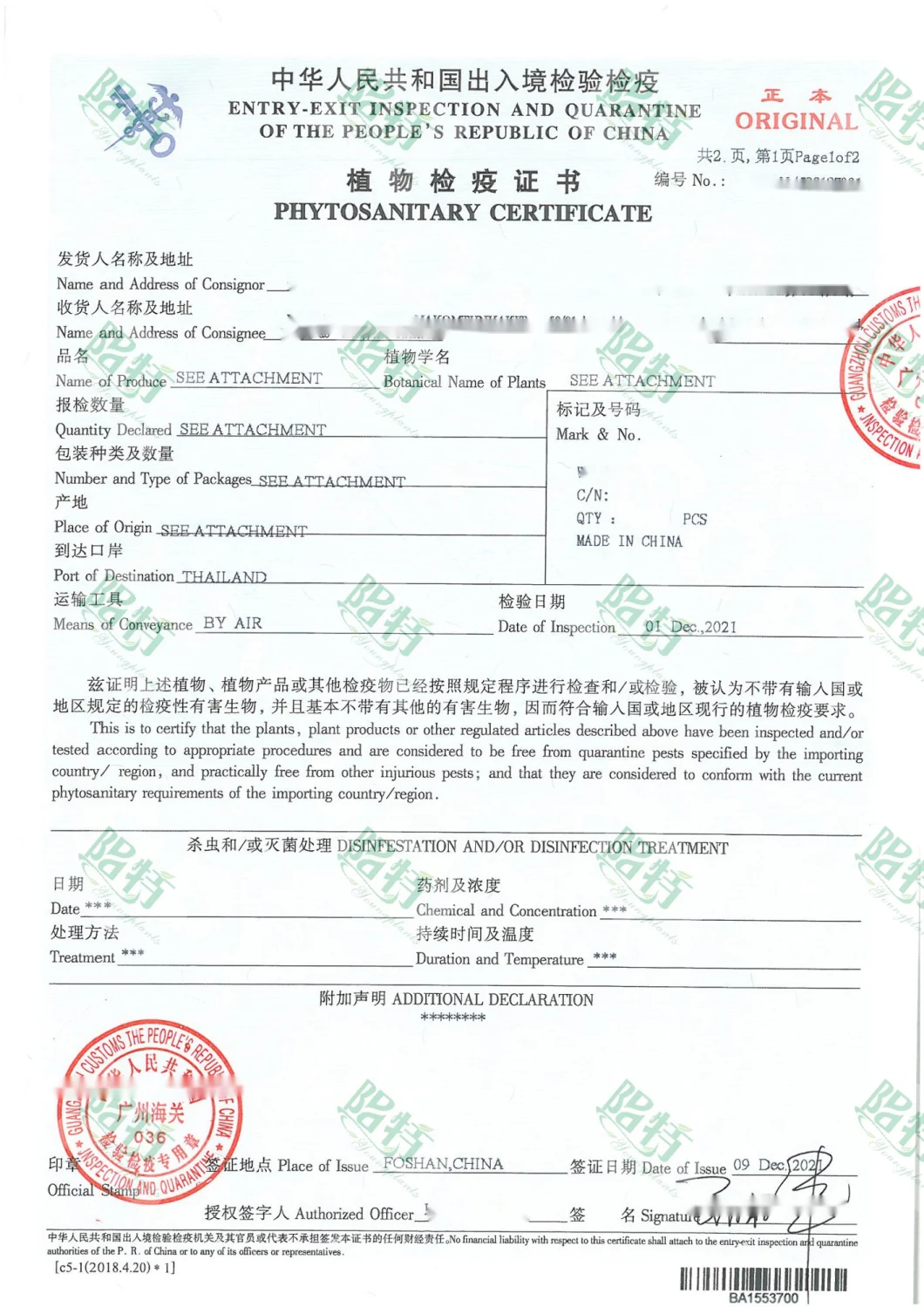 Pachira Macrocarpa Stems Wholesale Import Plant
