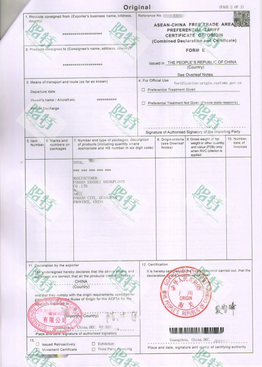 Pachira Macrocarpa Stems Wholesale Import Plant