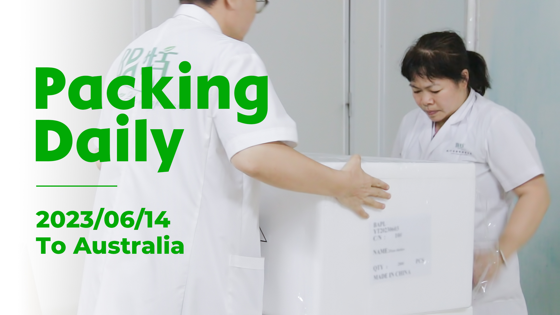 Foshan Youngplants | Packing Daily 2023.06.14 | Youngplants