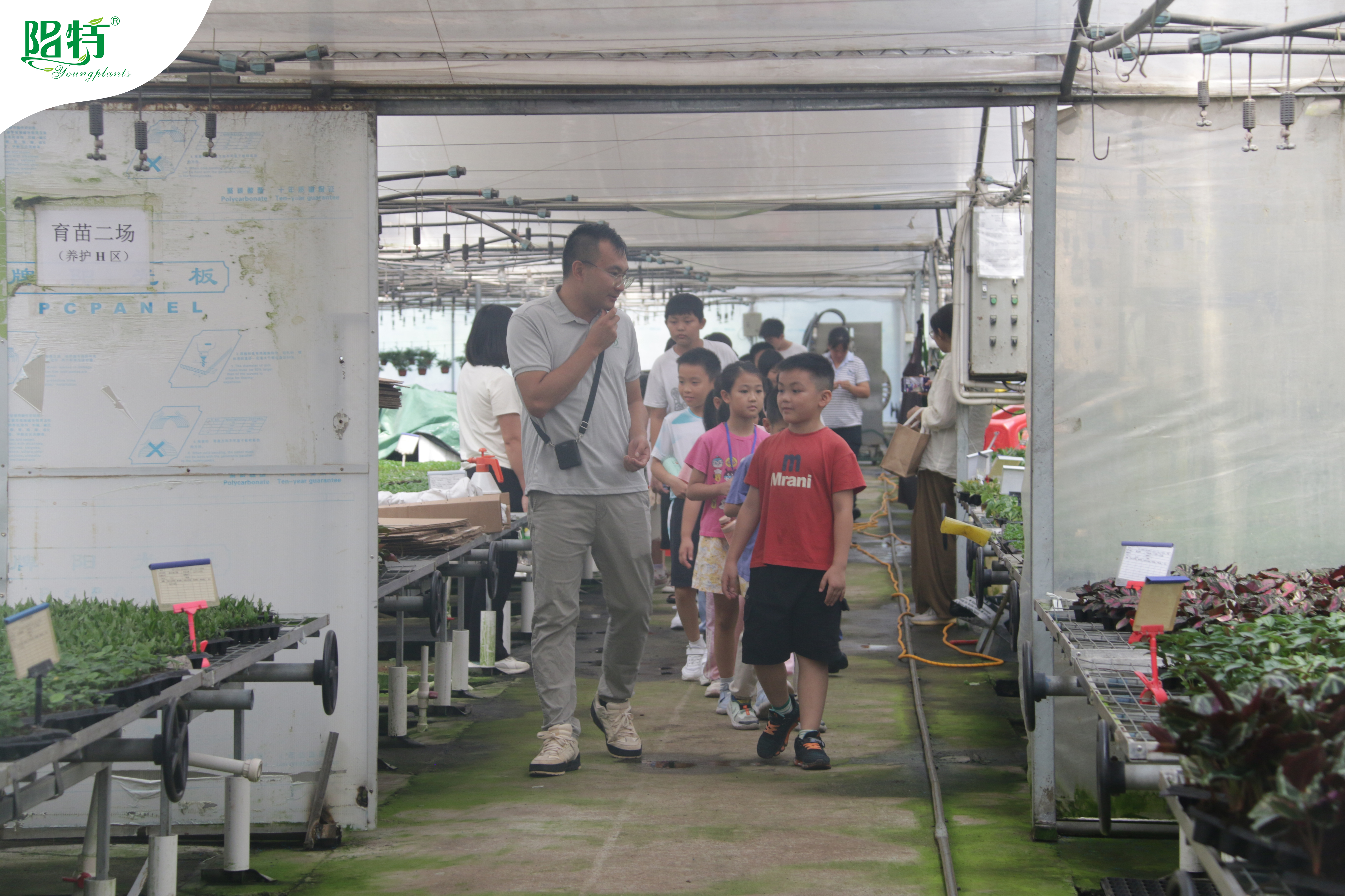 Foshan Youngplants | Summer Workshop Inspires Young Minds with Hands-On Plant Tissue Culture and Propagation 1