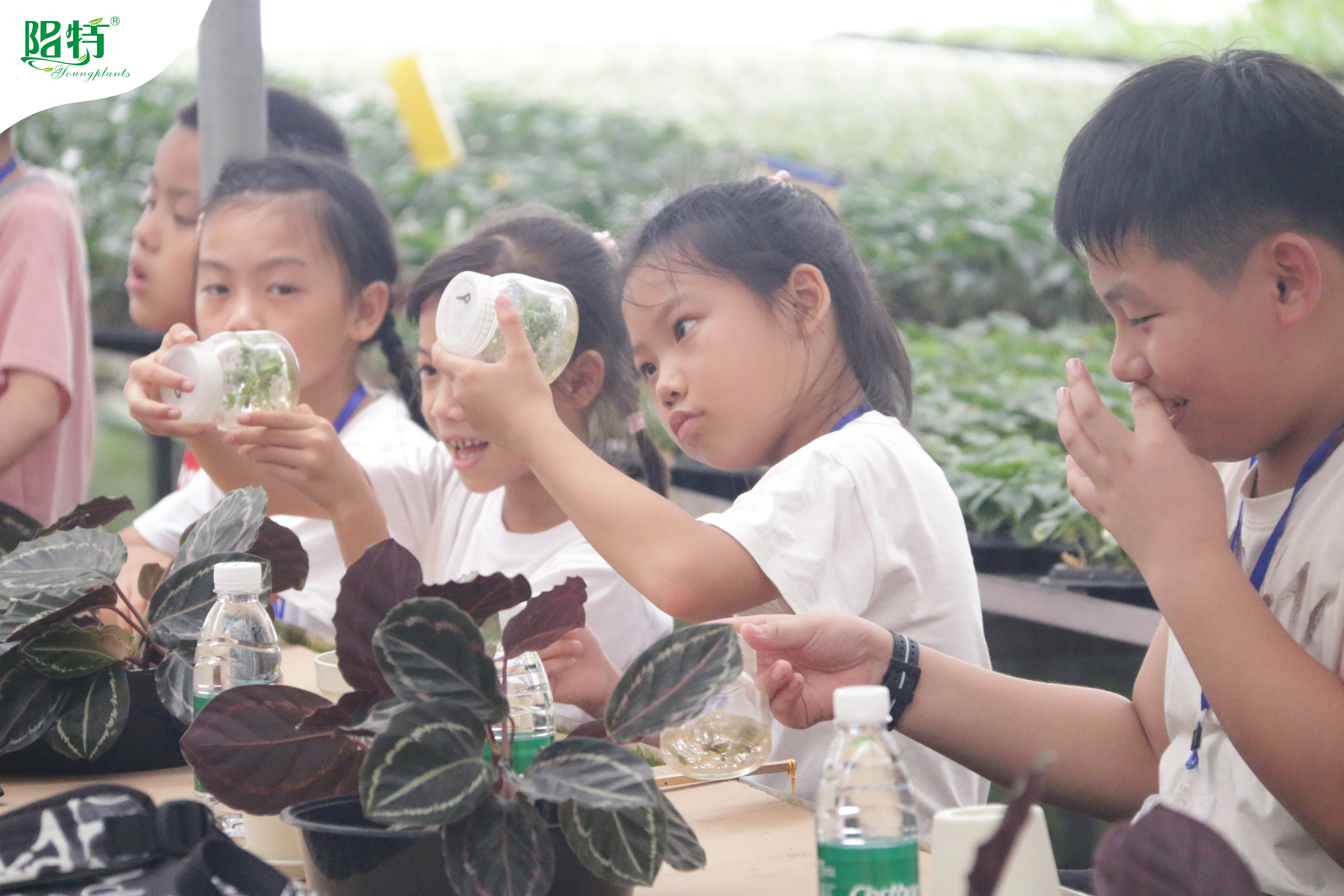 Foshan Youngplants | Summer Workshop Inspires Young Minds with Hands-On Plant Tissue Culture and Propagation 3