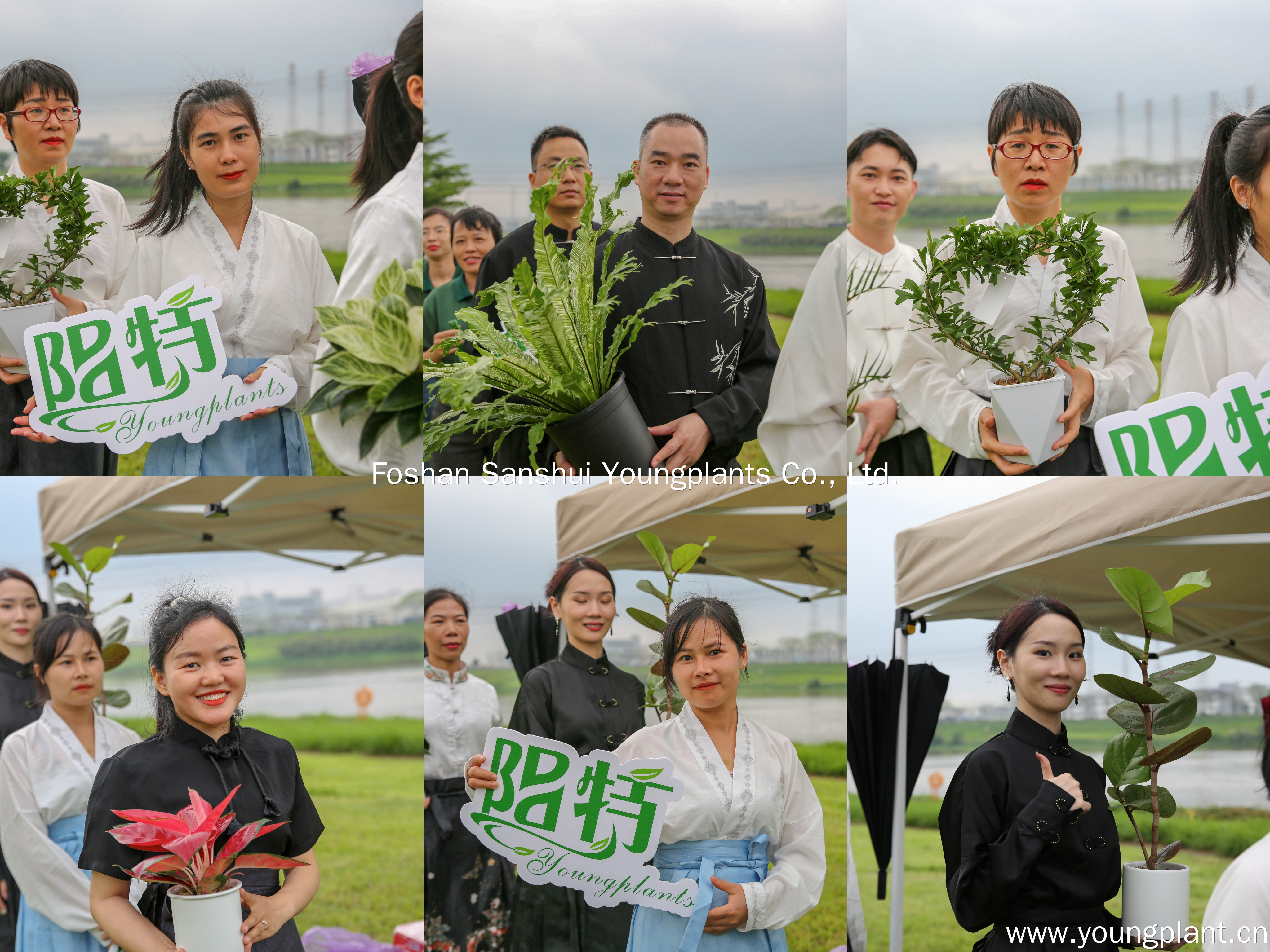 Foshan Youngplants | Мы сияем на мероприятии по культурному обмену Фошана 4