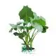 Custom plant propagation techniques Factory Manufacturer | Youngplants 1