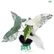  syngonium podophyllum  | Youngplants 1