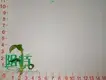 Custom xanthosoma jungle bush Factory Manufacturer | Youngplants 1