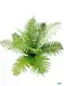 Youngplants | Hot-Sale plant tissue culture containers Company 1