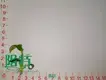 Youngplants |  xanthosoma plug plants  1