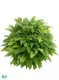 Custom plant plugs  Manufacturer | Youngplants 1
