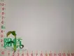 Custom xanthosoma plant  Manufacturer | Youngplants 1