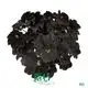 Custom begonia rex red  Manufacturer | Youngplants 1