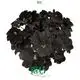  rex begonia care  | Youngplants 1