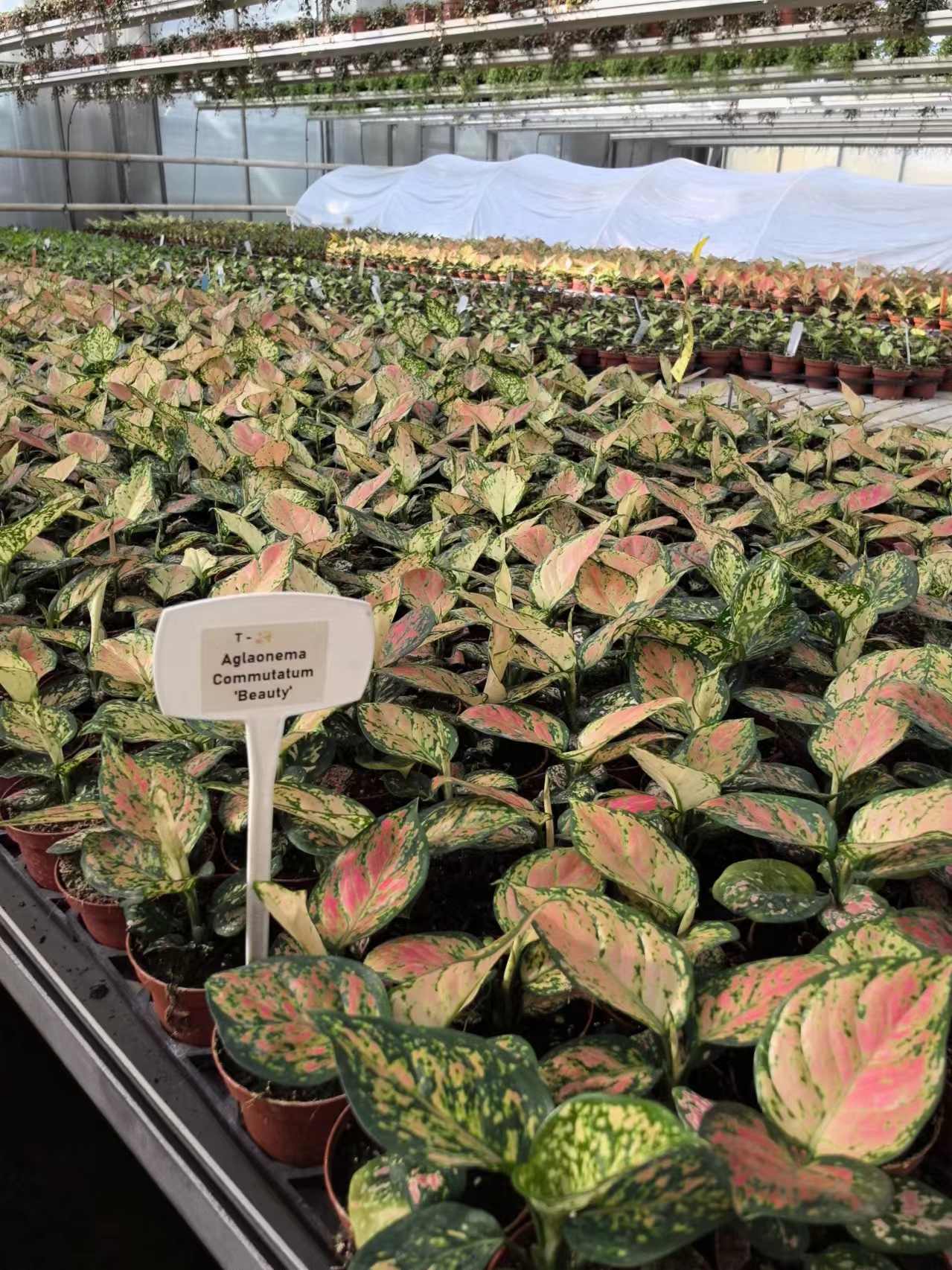 2024 Visit in Poland - Insights and Solutions 3