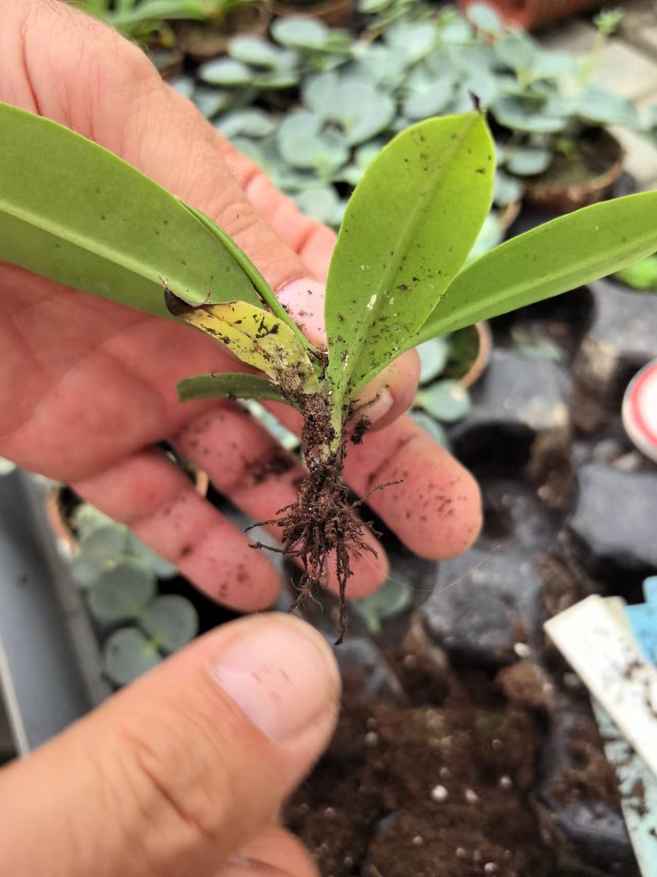 2024 Visit in Poland - Insights and Solutions 2