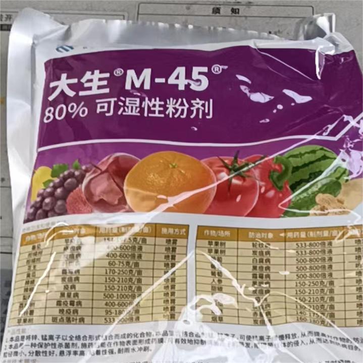 Foshan Youngplants | Leaf Spots Prevention & Treatment for Ficus umbellata 5