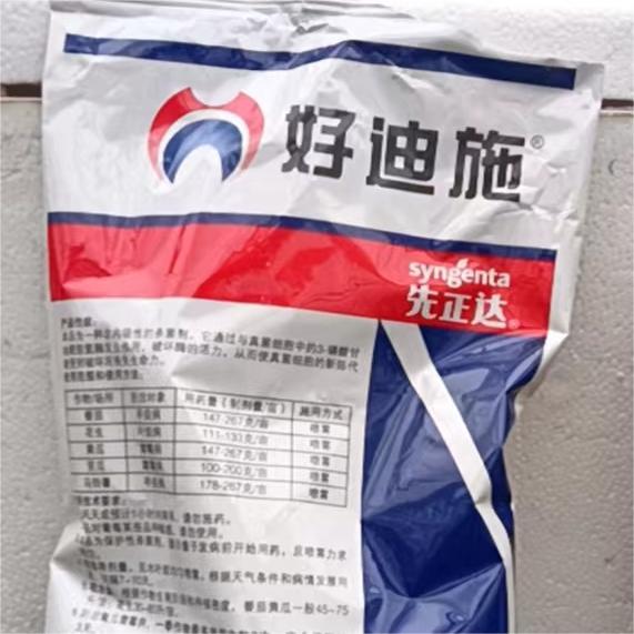 Foshan Youngplants | Leaf Spots Prevention & Treatment for Ficus umbellata 6