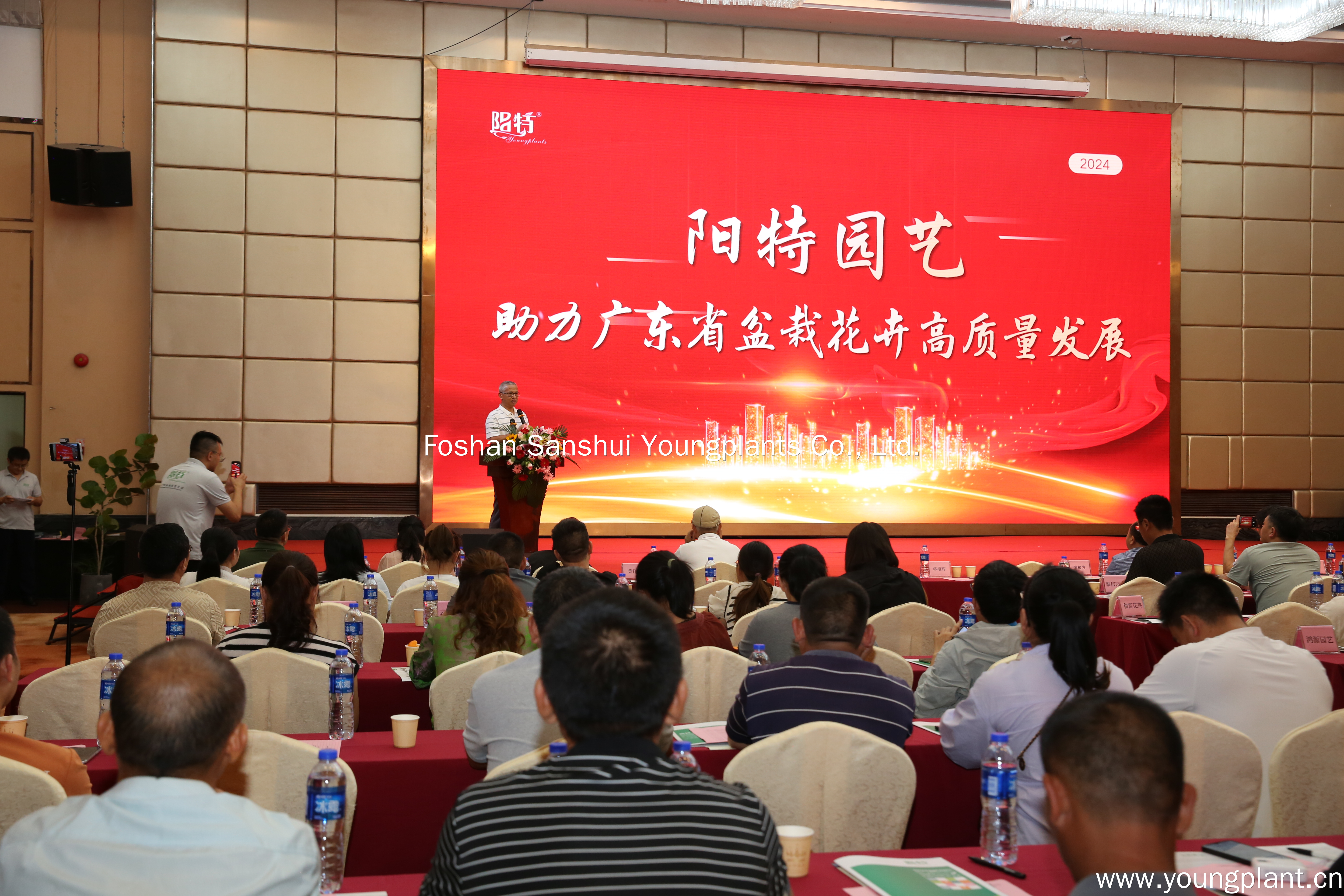 Foshan Youngplants | Membina Pengembangan Berkualitas Tinggi di Industri Tanaman Pot Guangdong 2