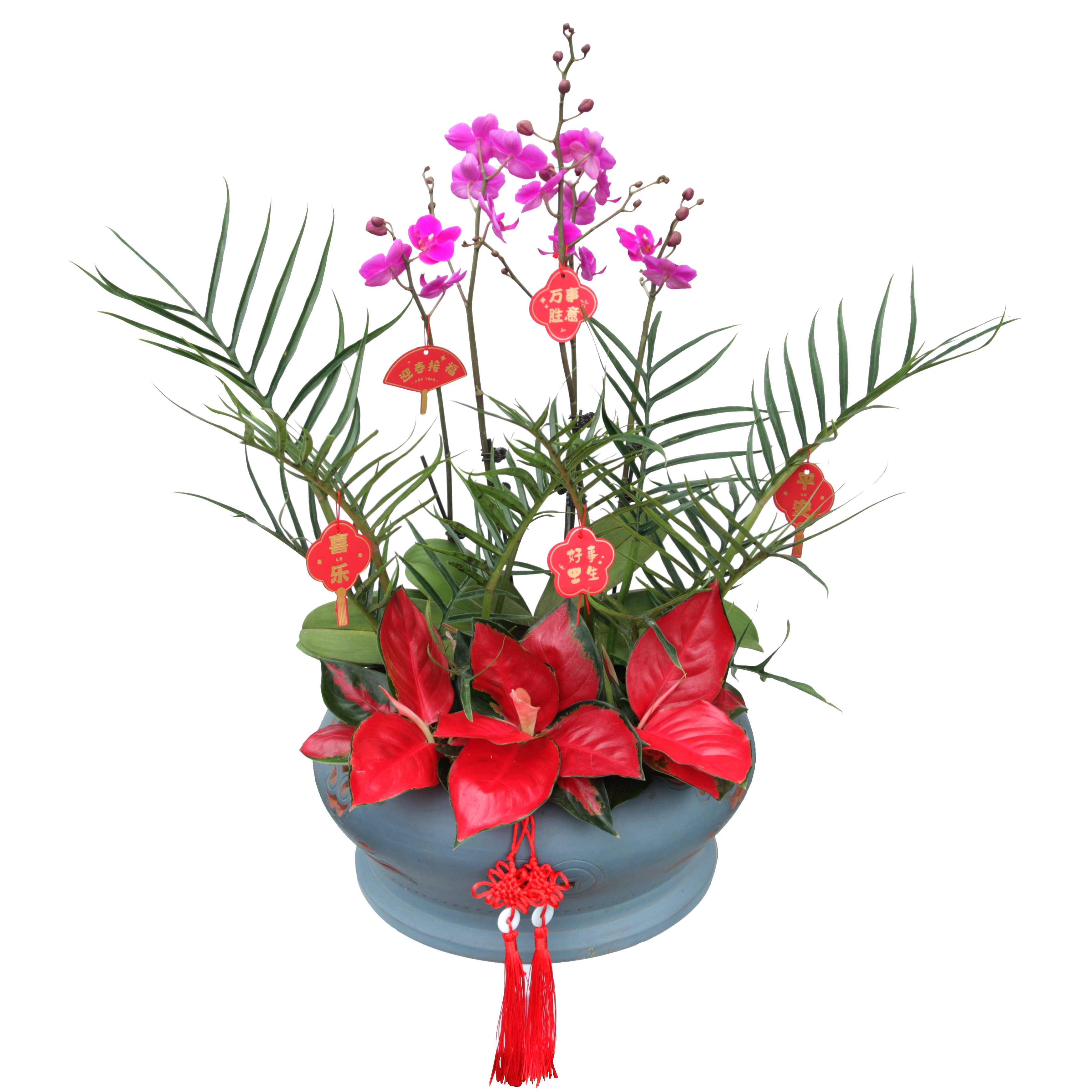Foshan Youngplants | Sucesso florescendo: nossa empresa brilha no Flower Fiesta de Ano Novo de Li Wan! 3
