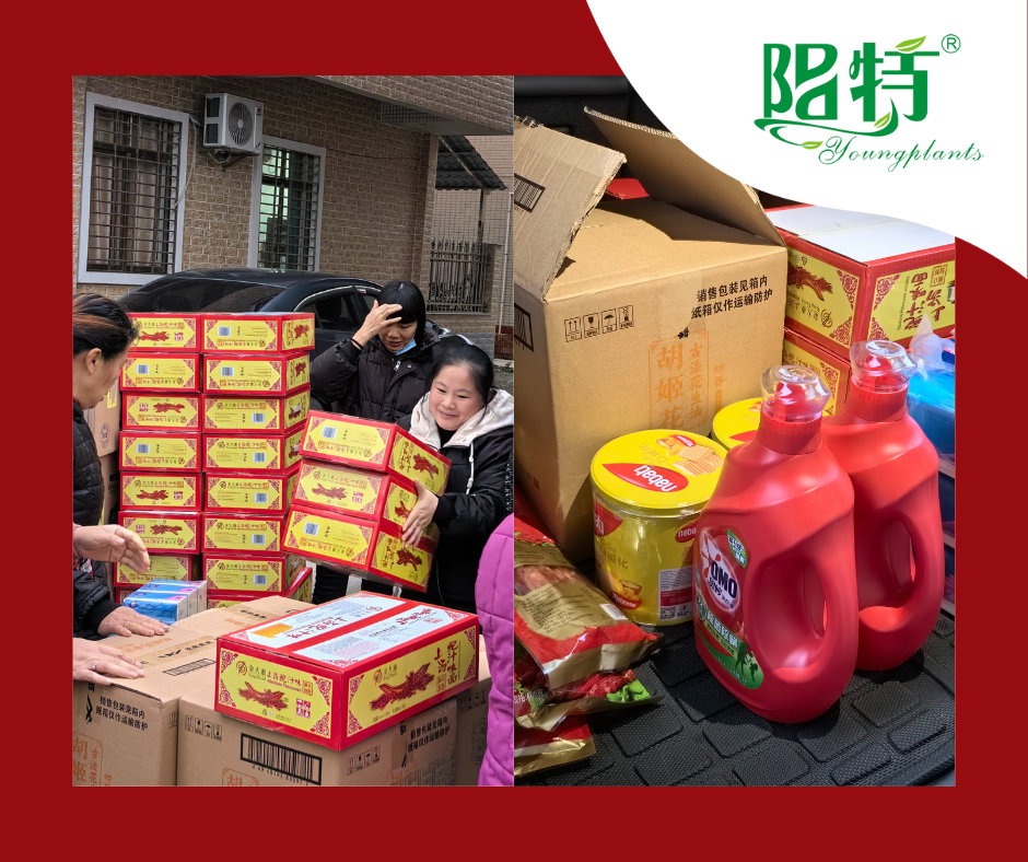 Foshan Youngplants | Kỷ niệm Tết Nguyên đán với phúc lợi nhân viên 2