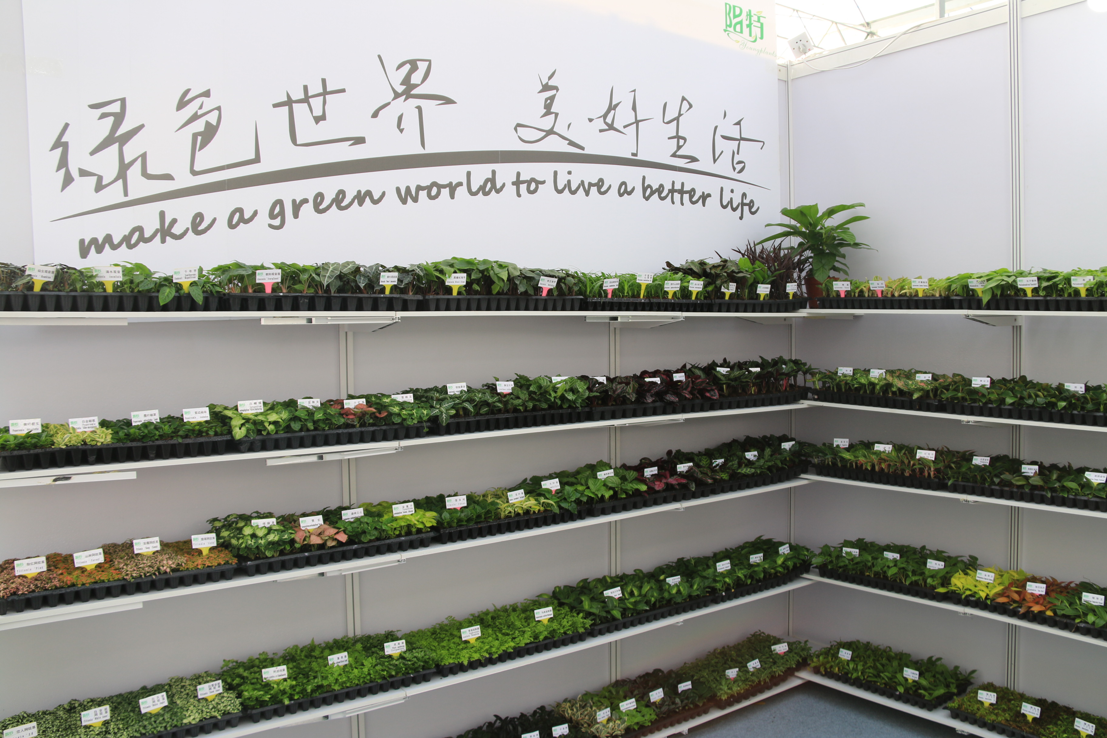 Izimpubukela Foshan | The 8 hortishorexpo ipm Guangzhou 2016 1