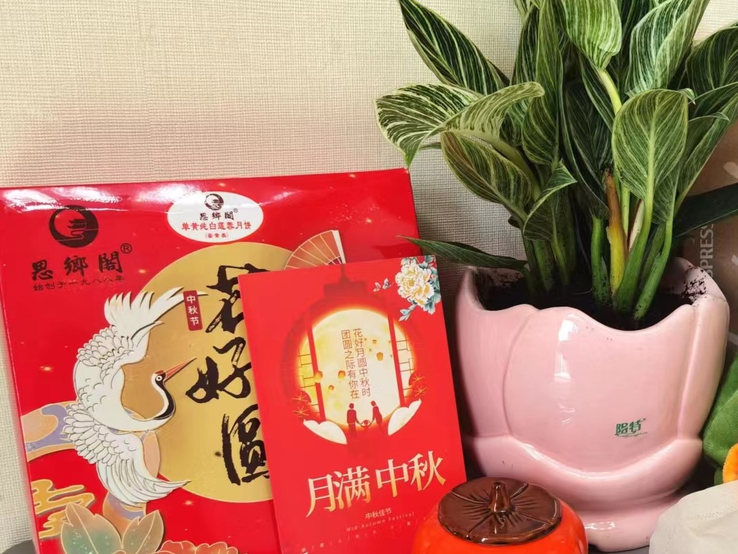 Foshan YoungPlans | 2022 chinesisches Festival im Mittleren Autumn 2