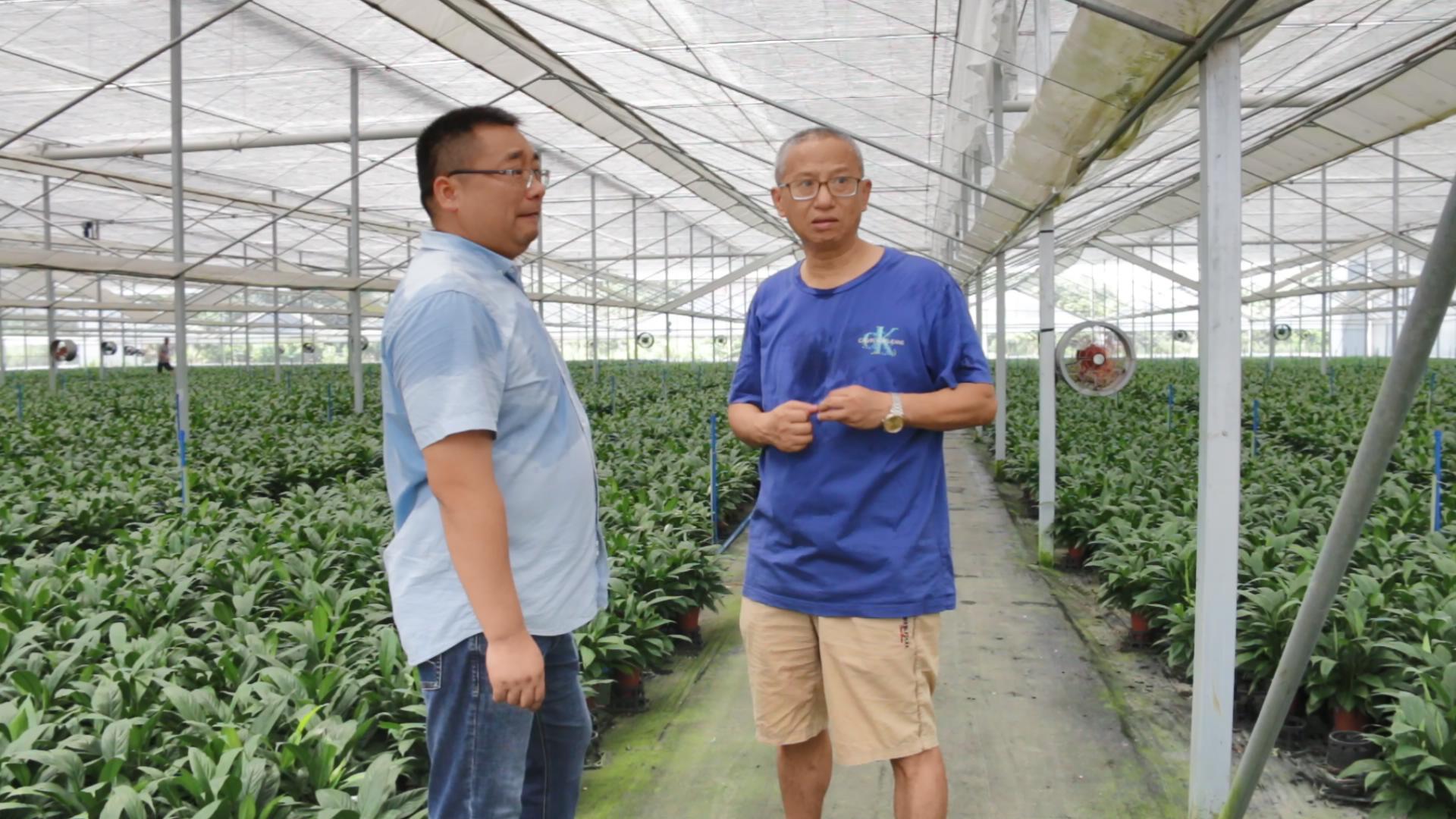 Foshan Youngplants | Besuchen Sie Minghua Nreeny, einer unserer größten Partner in der Provinz Guangdong 2