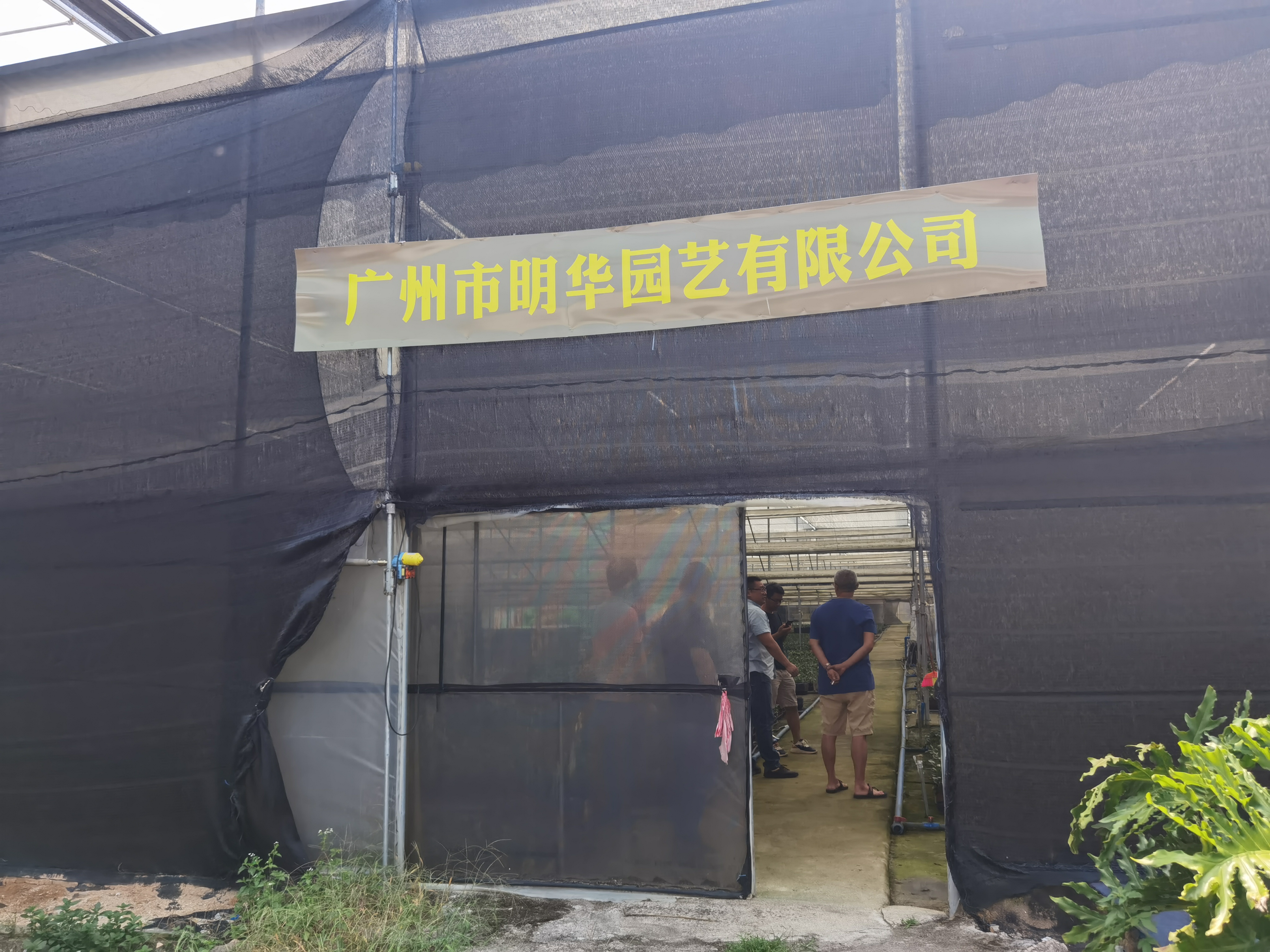 Foshan Youngplants | Besuchen Sie Minghua Nreeny, einer unserer größten Partner in der Provinz Guangdong 1