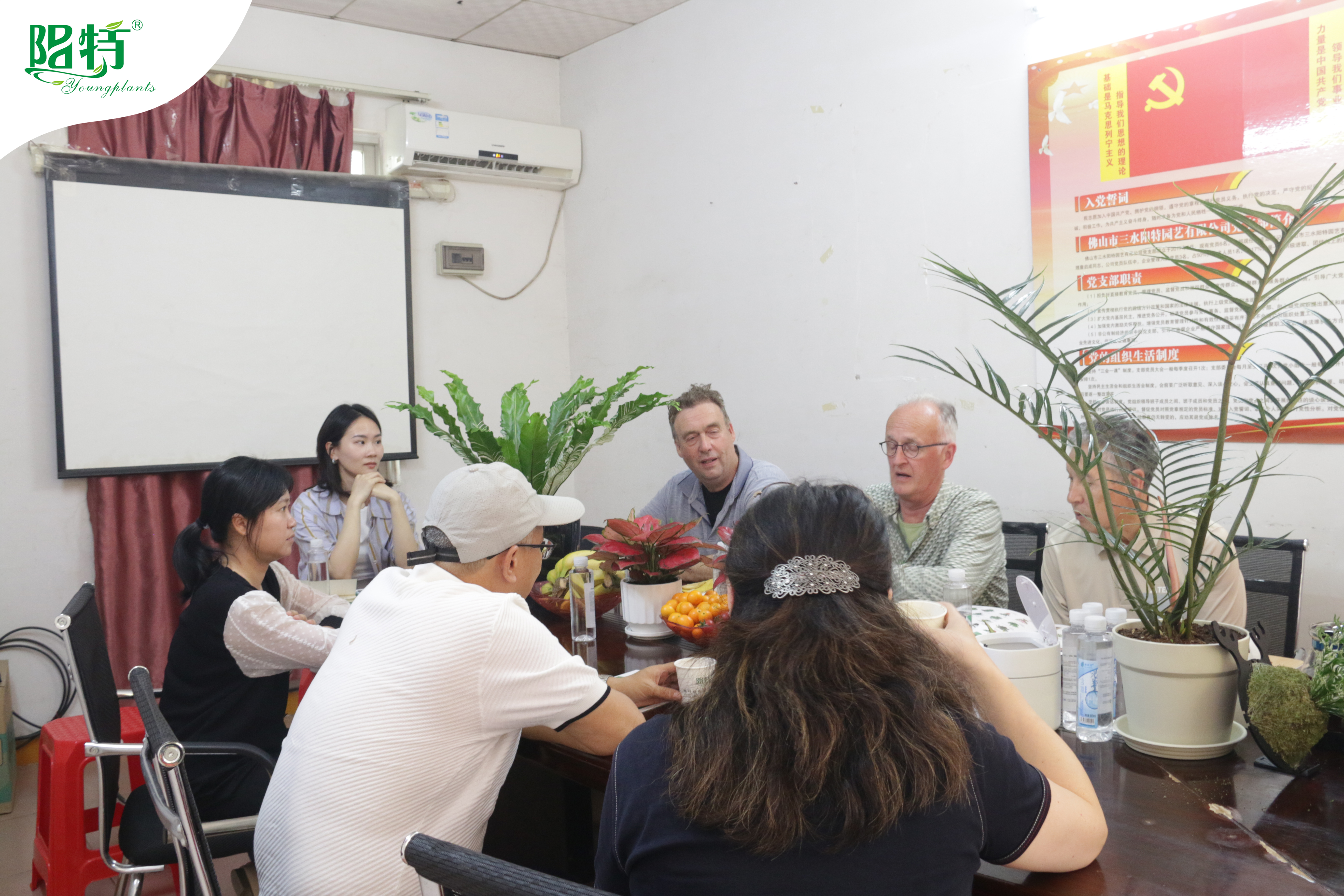 Foshan Youngplants | Wiedervereinigte Langzeitpartner: Ein produktiver Besuch von Ornamentx, Niederlande 1
